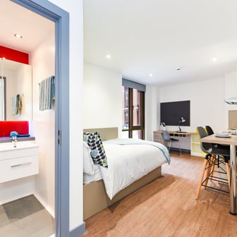 Studio Bronze - Accessible - Image 1