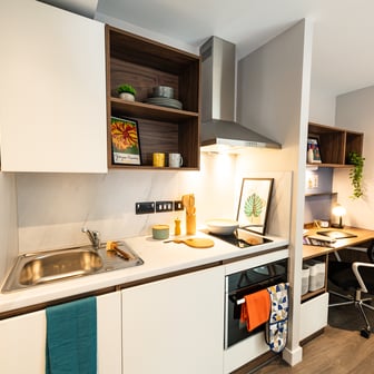 Studio Gold - Image 6