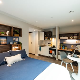 Studio Gold - Image 1