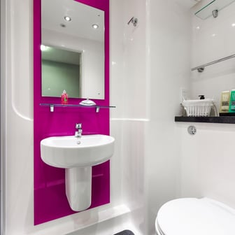 Ensuite Silver - Image 4