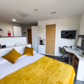 Studio Bronze - Image 1