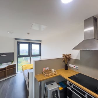 Studio Bronze - Image 3