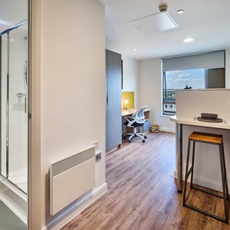 Studio Silver Plus - Image 2