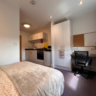 Studio Bronze - Image 2