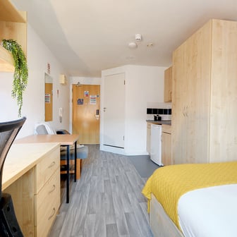 Studio bronze - Image 2