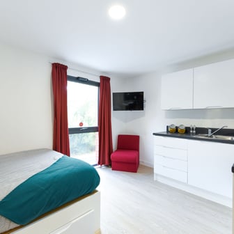 Studio bronze - Image 2