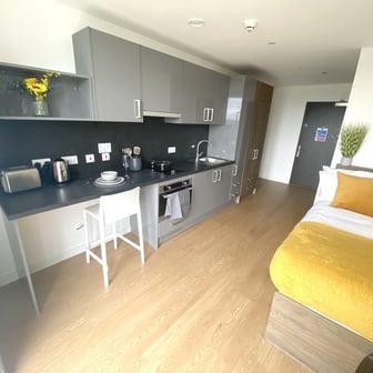 Studio Bronze - Image 1