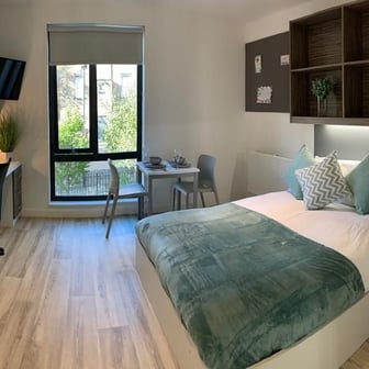 Studio Gold - Image 1