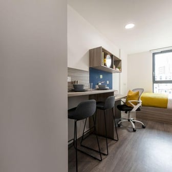 Studio Classic - Image 2