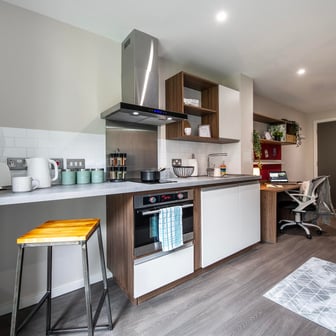 Studio Bronze (New Style) - Image 3