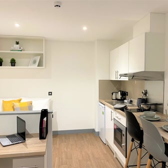 Studio Silver - Accessible - Image 2