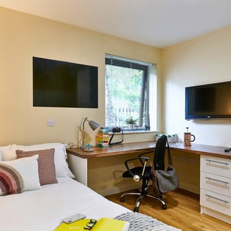 Deluxe Studio - Image 1