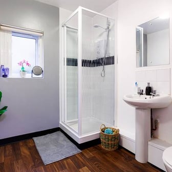 Bronze Single - Image 4