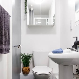 Bronze Standard - Image 7