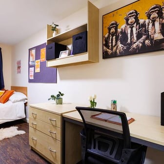 Bronze Standard - Image 2