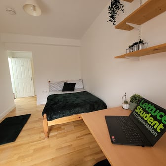 Room 10 En Suite in 11 bed house - Image 2