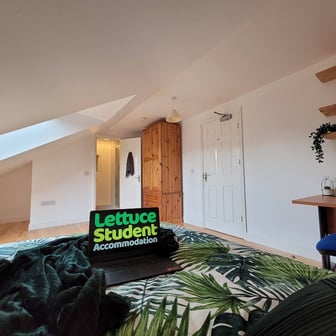 Room 11 Luxury En Suite in 11 bed house - Image 3