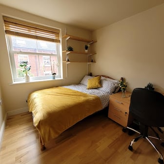 Room 3 Ensuite in 11 bed house - Image 3