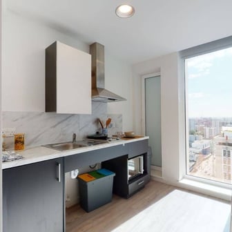 DDA Large Single Studio - Image 4