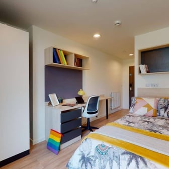 Standard Single Plus - Image 2