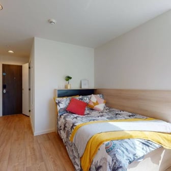 Large Single - Image 2