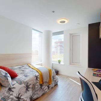 Large Single - Image 3