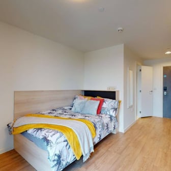 Large Single Plus - Image 2