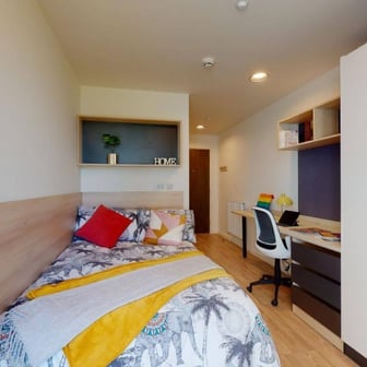 Standard Single - Image 2