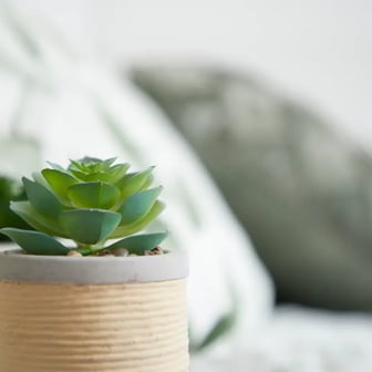 Deluxe Studio - Image 4