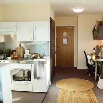 Deluxe Student Studio - Image 3