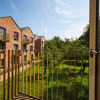 Ultimate Vita - Image 3