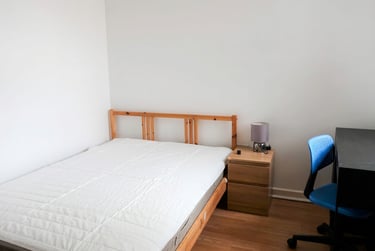6 bed house, Dartmouth Road, Selly Park, Birmingham, B296ED - Image 9