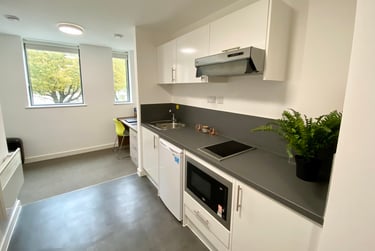 1 bed flat, George Road - Classic Studio, City Centre, Birmingham, B151PL - Image 10
