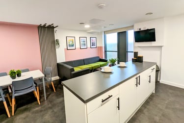 1 bed flat, F20 - 54 George Road - Room A, City Centre, Birmingham, B151PL - Image 4