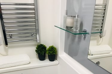 1 bed flat, F12 - 54 George Road, City Centre, Birmingham, B151PL - Image 5