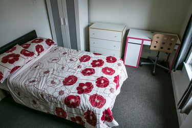 4 bed house, Harold Road - Copy, City Centre, Birmingham, B169DA - Image 6