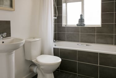 6 bed house, Houndiscombe Road, Mutley, Plymouth, PL46HB - Image 4