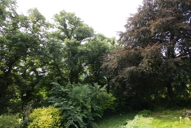 2 bed flat, Ribblesdale Place, Winckley square, Preston, PR13AF - Image 8