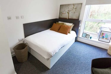 Premium Studio Accessible - Image 1