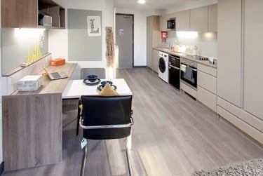Deluxe Studio at Sycamore House, Woodhouse Square, Kirkstall, Leeds, LS31BP - Image 2