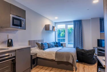 Platinum Studio With Terrace at Boutique Swansea, St Helen's Road, Mount Pleasant, Swansea, SA14DQ - Image 1