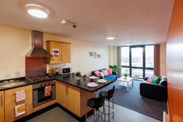 The Trigon Student Halls, 193 Shoreham Street, City Centre, Sheffield, S1 4RA - Image 4