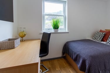 Alexandra Hall Student Halls, Victoria Terrace, City Centre, Aberystwyth, SY23 2DH - Image 4