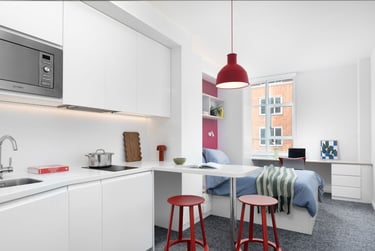 Scape Bloomsbury Student Halls, Woburn Place, Camden, London, WC1H 0NH - Image 4