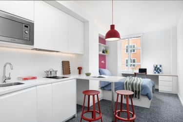 Scape Bloomsbury Student Halls, Woburn Place, Camden, London, WC1H 0NH - Image 12