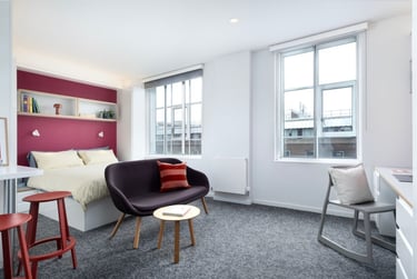 Scape Bloomsbury Student Halls, Woburn Place, Camden, London, WC1H 0NH - Image 14