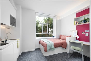 Scape Bloomsbury Student Halls, Woburn Place, Camden, London, WC1H 0NH - Image 1