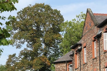 Hartley Halls of Residence Student Halls, 61a Brantingham Road, Whalley Range, Manchester, M16 8PA - Image 12