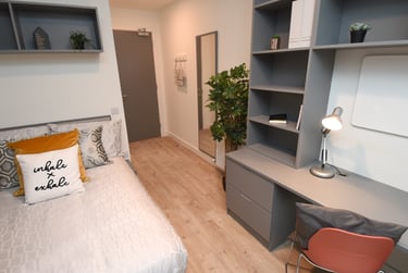 Lee Point Student Halls, South Main Street, City Centre, Cork, T12 NFR3 - Image 1