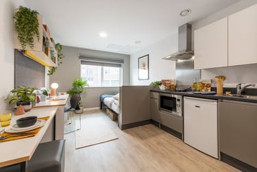 Altura Student Halls, Bath Row, City Centre, Birmingham, B15 1NE - Image 3
